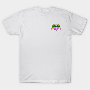 Hummingbirds (small image) T-Shirt